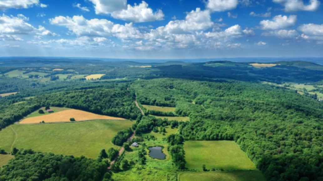 Landscape with sky